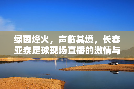 绿茵烽火，声临其境，长春亚泰足球现场直播的激情与坚守，绿茵烽火声临其境，长春亚泰足球现场直播的激情坚守