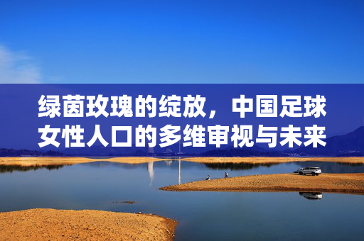 绿茵玫瑰的绽放，中国足球女性人口的多维审视与未来之路