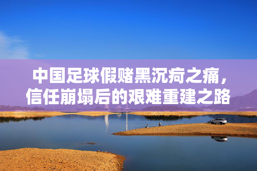中国足球假赌黑沉疴之痛，信任崩塌后的艰难重建之路，中国足球，假赌黑沉疴之痛与信任重建之路