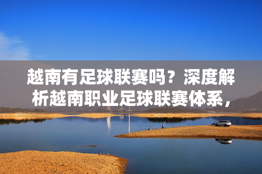越南有足球联赛吗？深度解析越南职业足球联赛体系，深度解析越南职业足球联赛体系