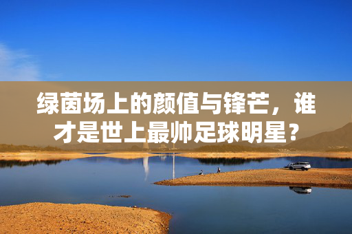 绿茵场上的颜值与锋芒,谁才是世上最帅足球明星?
