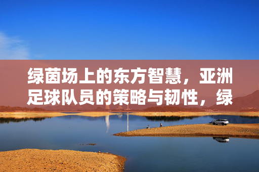 绿茵场上的东方智慧，亚洲足球队员的策略与韧性，绿茵场上的东方智慧，亚洲球员的策略与韧性