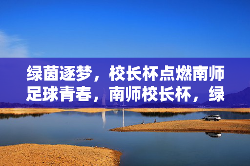 绿茵逐梦，校长杯点燃南师足球青春，南师校长杯，绿茵逐梦燃青春