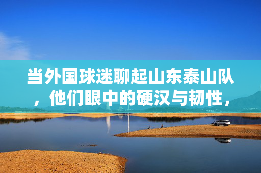 当外国球迷聊起山东泰山队，他们眼中的硬汉与韧性，外国球迷眼中的山东泰山，硬汉与韧性