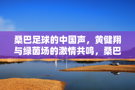 桑巴足球的中国声，黄健翔与绿茵场的激情共鸣，桑巴足球的中国声，黄健翔与绿茵场的激情共鸣