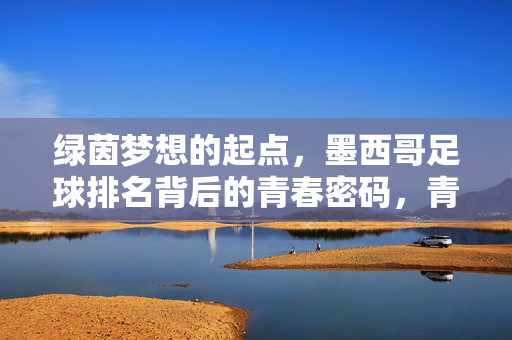绿茵梦想的起点，墨西哥足球排名背后的青春密码，青春密码，墨西哥足球排名的绿茵起点