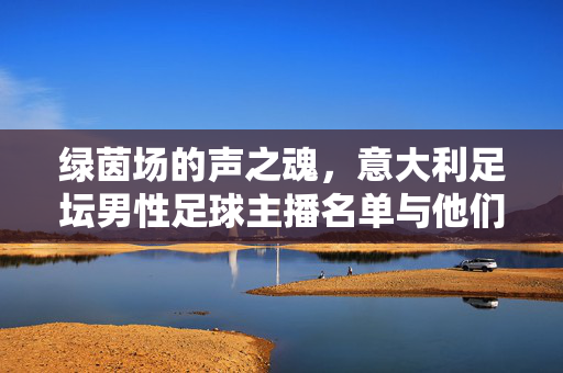 绿茵场的声之魂,意大利足坛男性足球主播名单与他们的传奇解说,绿茵场的声之魂,意大利足坛男性足球主播传奇解说