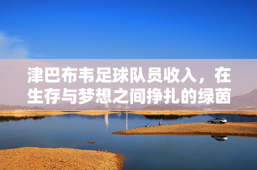 津巴布韦足球队员收入,在生存与梦想之间挣扎的绿茵人生,津巴布韦球员,在生存与梦想间挣扎的绿茵人生