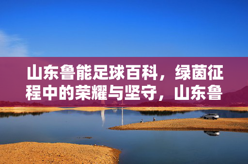 山东鲁能足球百科，绿茵征程中的荣耀与坚守，山东鲁能足球，绿茵征程的荣耀与坚守