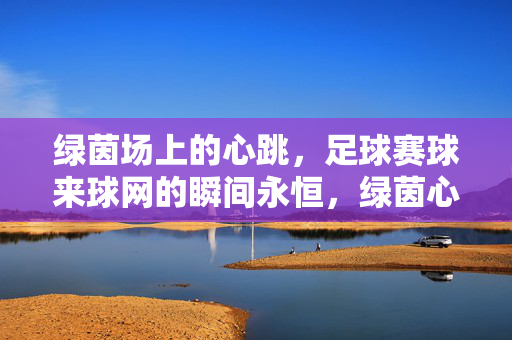 绿茵场上的心跳，足球赛球来球网的瞬间永恒，绿茵心跳，球来球网的永恒瞬间