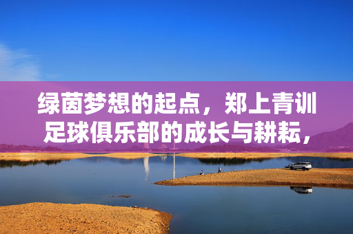 绿茵梦想的起点，郑上青训足球俱乐部的成长与耕耘，绿茵梦想起点，郑上青训的成长与耕耘