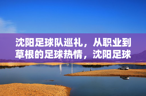 沈阳足球队巡礼，从职业到草根的足球热情，沈阳足球巡礼，从职业到草根的热血坚守