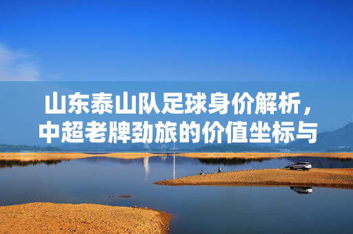山东泰山队足球身价解析，中超老牌劲旅的价值坐标与球员构成，山东泰山队身价解析，中超老牌劲旅的价值坐标与球员构成