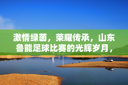 激情绿茵，荣耀传承，山东鲁能足球比赛的光辉岁月，激情绿茵，荣耀传承，山东鲁能的光辉岁月