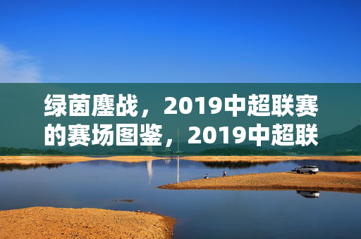 绿茵鏖战，2019中超联赛的赛场图鉴，2019中超联赛绿茵鏖战图鉴
