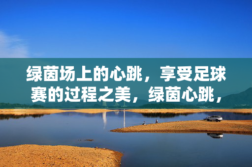 绿茵场上的心跳,享受足球赛的过程之美,绿茵心跳,足球过程之美