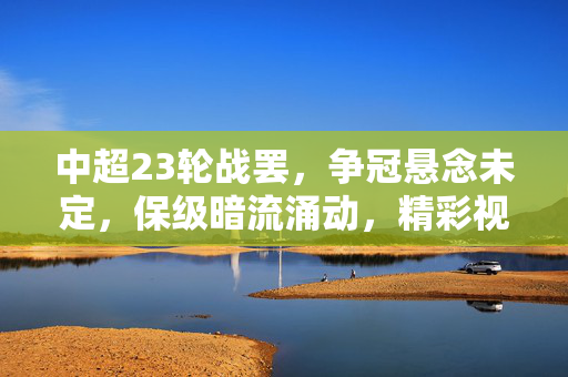 中超23轮战罢，争冠悬念未定，保级暗流涌动，精彩视频回顾那些高光与转折，中超23轮战罢，争冠悬念未定，保级暗流涌动，高光转折回顾