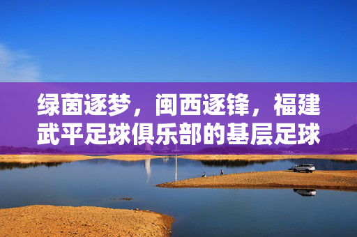 绿茵逐梦,闽西逐锋,福建武平足球俱乐部的基层足球故事,闽西逐锋,福建武平基层足球的逐梦故事