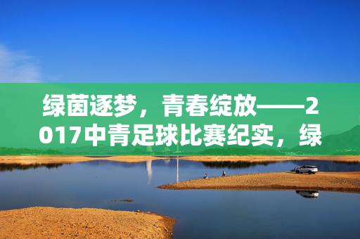 绿茵逐梦，青春绽放——2017中青足球比赛纪实，绿茵逐梦，青春绽放——2017中青足球比赛纪实