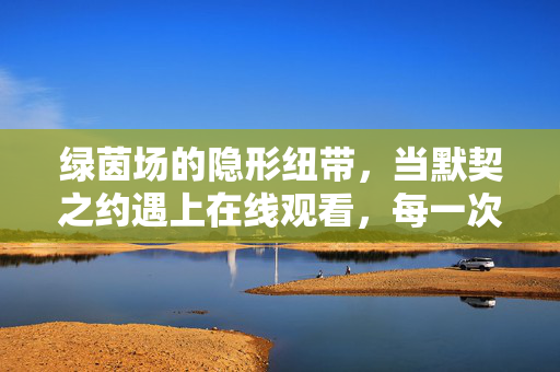 绿茵场的隐形纽带，当默契之约遇上在线观看，每一次传球都是双向奔赴，绿茵场的隐形纽带，传球与在线观看的双向奔赴