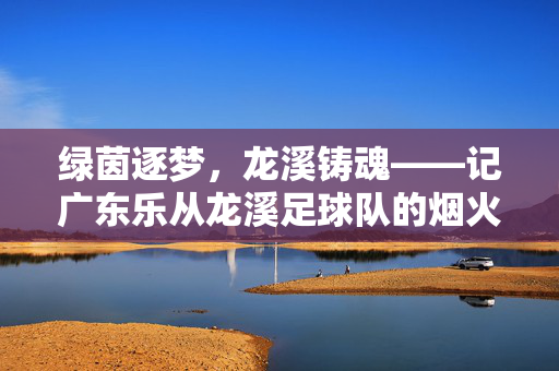 绿茵逐梦，龙溪铸魂——记广东乐从龙溪足球队的烟火与远方，绿茵逐梦，龙溪铸魂——烟火与远方