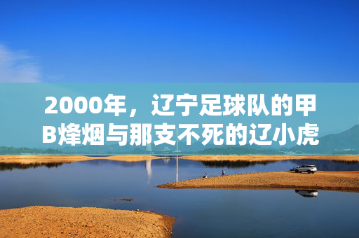 2000年，辽宁足球队的甲B烽烟与那支不死的辽小虎，2000甲B烽烟，不死的辽小虎