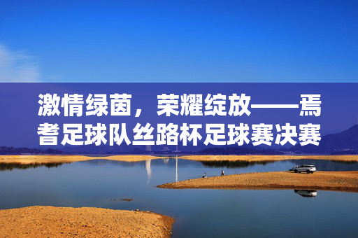 激情绿茵，荣耀绽放——焉耆足球队丝路杯足球赛决赛圆满落幕，焉耆足球队丝路杯决赛圆满落幕