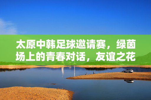 太原中韩足球邀请赛,绿茵场上的青春对话,友谊之花三晋绽放,太原中韩足球邀请赛,青春友谊之花三晋绽放