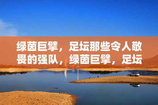 绿茵巨擘,足坛那些令人敬畏的强队,绿茵巨擘,足坛敬畏强队