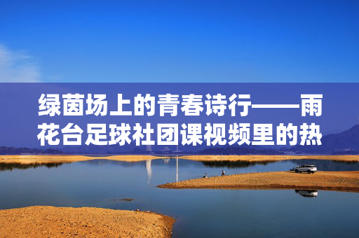 绿茵场上的青春诗行——雨花台足球社团课视频里的热血与成长，绿茵场上的青春诗行，雨花台足球社团课的热血与成长