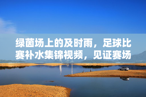 绿茵场上的及时雨，足球比赛补水集锦视频，见证赛场下的智慧与关怀，绿茵场及时雨，足球补水集锦见证赛场智慧与关怀