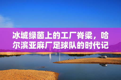 冰城绿茵上的工厂脊梁，哈尔滨亚麻厂足球队的时代记忆，冰城绿茵工厂脊梁，哈尔滨亚麻厂足球队时代记忆