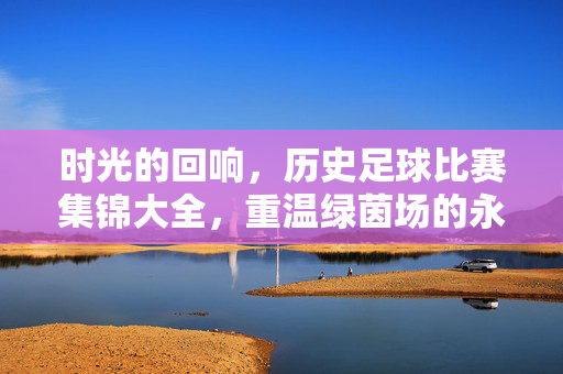 时光的回响，历史足球比赛集锦大全，重温绿茵场的永恒瞬间，时光回响，历史足球集锦与绿茵永恒瞬间