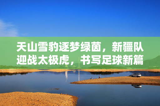 天山雪豹逐梦绿茵,新疆队迎战太极虎,书写足球新篇,天山雪豹迎战太极虎,新疆足球书写新篇