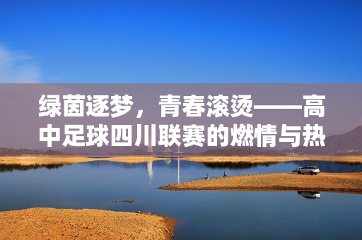 绿茵逐梦,青春滚烫——高中足球四川联赛的燃情与热爱,四川高中足球联赛,绿茵逐梦,青春滚烫