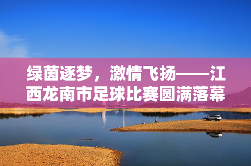 绿茵逐梦,激情飞扬——江西龙南市足球比赛圆满落幕