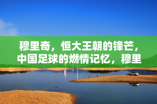 穆里奇,恒大王朝的锋芒,中国足球的燃情记忆,穆里奇,恒大王朝锋芒,中国足球燃情记忆
