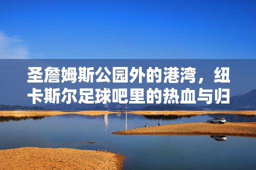 圣詹姆斯公园外的港湾,纽卡斯尔足球吧里的热血与归属,圣詹姆斯公园外的港湾,纽卡斯尔足球吧的热血与归属
