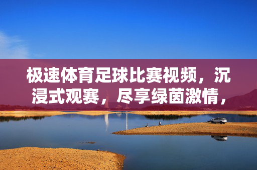 极速体育足球比赛视频，沉浸式观赛，尽享绿茵激情，极速体育，沉浸式足球比赛视频，尽享绿茵激情