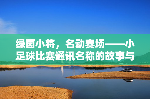 绿茵小将，名动赛场——小足球比赛通讯名称的故事与力量，绿茵小将名动赛场，小足球通讯的故事与力量