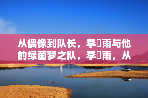 从偶像到队长,李玹雨与他的绿茵梦之队,李玹雨,从偶像到队长,领衔绿茵梦之队