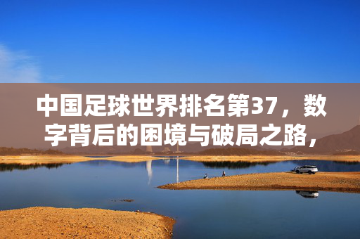 中国足球世界排名第37，数字背后的困境与破局之路，第37名背后，中国足球的困境与破局