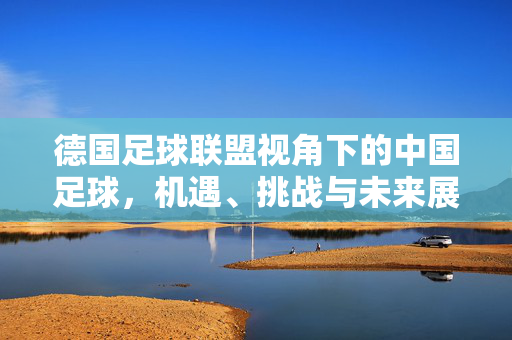 德国足球联盟视角下的中国足球,机遇、挑战与未来展望,德国足球联盟视角下中国足球的机遇、挑战与未来展望