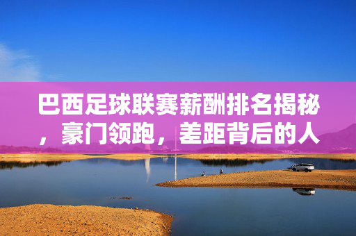 巴西足球联赛薪酬排名揭秘,豪门领跑,差距背后的人才与财政博弈,巴西足球联赛薪酬排名揭秘,豪门领跑背后的人才与财政博弈