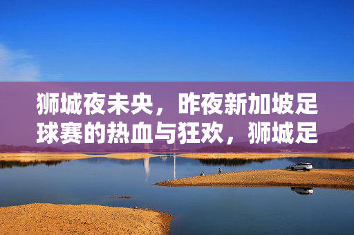 狮城夜未央，昨夜新加坡足球赛的热血与狂欢，狮城足球夜，热血狂欢夜未央