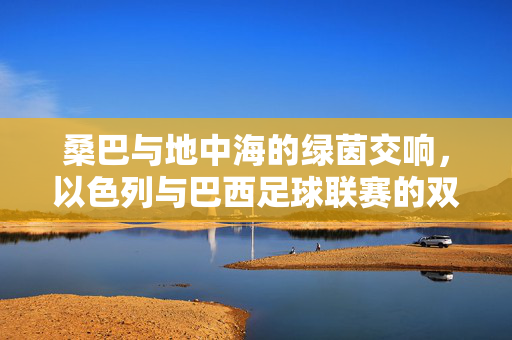 桑巴与地中海的绿茵交响,以色列与巴西足球联赛的双面镜,桑巴与地中海的绿茵双面镜