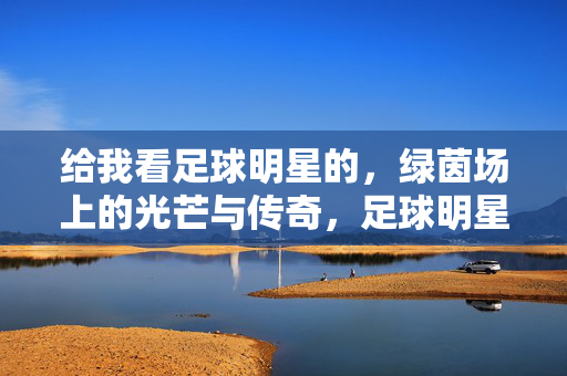 给我看足球明星的,绿茵场上的光芒与传奇,足球明星的绿茵光芒与不朽传奇