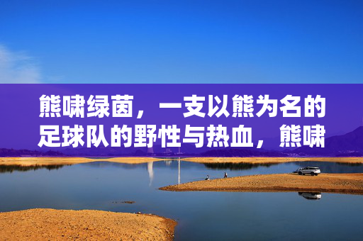 熊啸绿茵，一支以熊为名的足球队的野性与热血，熊啸绿茵，野性热血的熊队