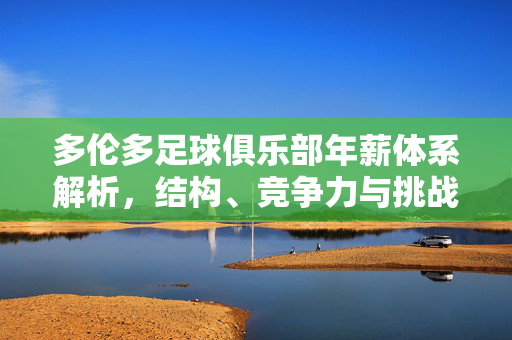 多伦多足球俱乐部年薪体系解析，结构、竞争力与挑战，多伦多足球俱乐部年薪体系，结构、竞争力与挑战解析