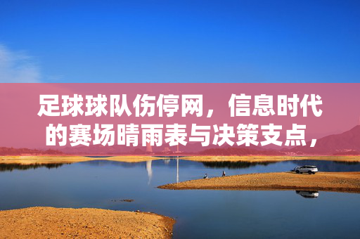 足球球队伤停网，信息时代的赛场晴雨表与决策支点，足球伤停网，信息时代的赛场晴雨表与决策支点